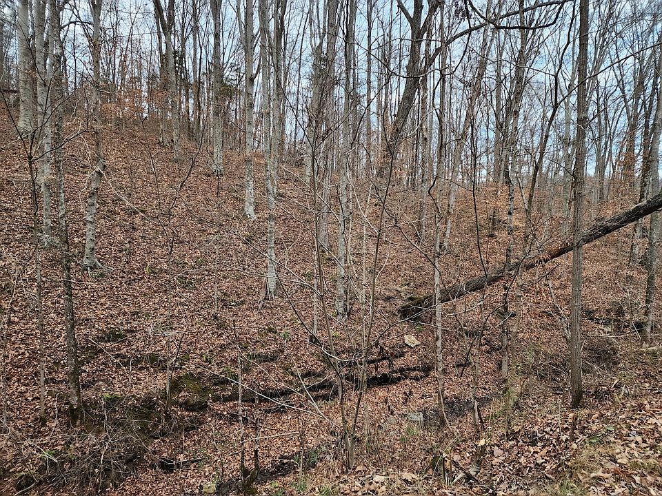 2nd image of 0 W Garretts Creek Rd