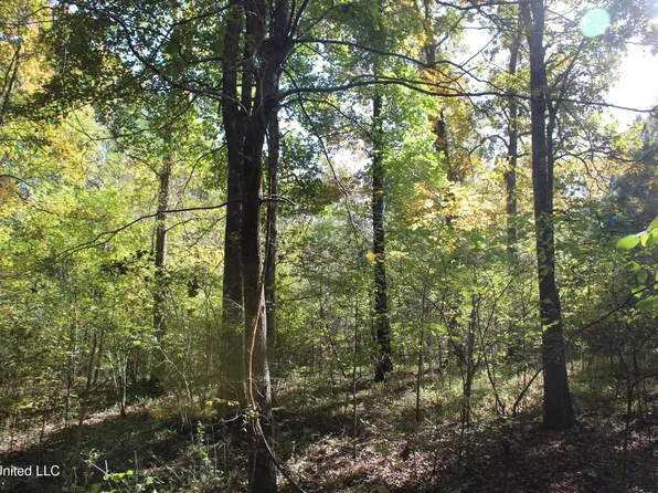 74 Cutter Cv, Byhalia, MS 38611