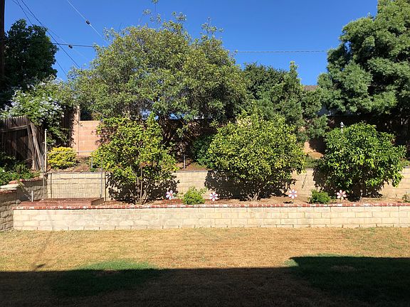 Big Yard, Fruit Trees