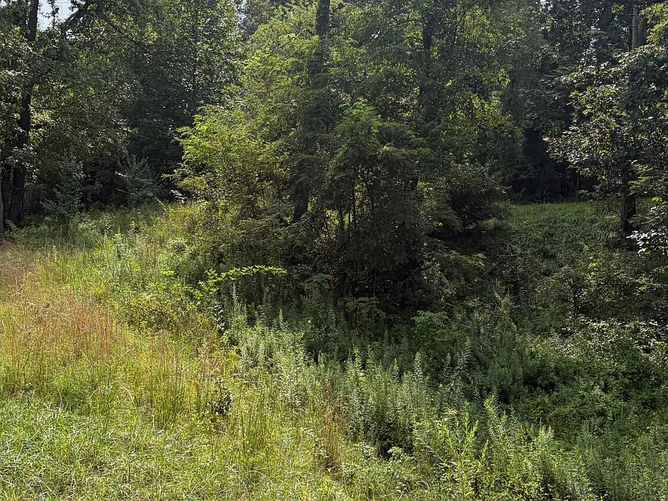 2nd image of 175 Coby Ln