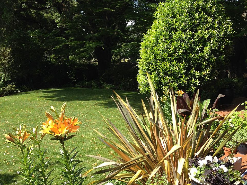 Front Garden in Bloom