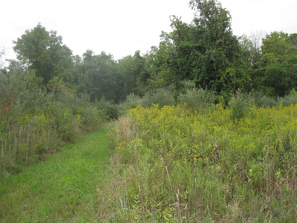 1st image of Druck Valley Road