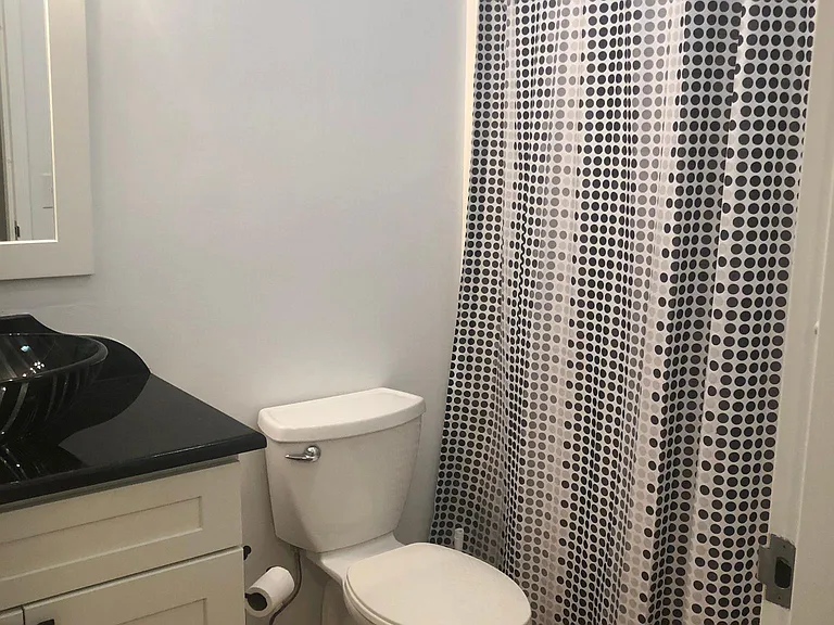 Hall bathroom