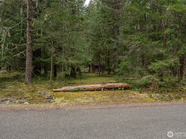 38313 566th Street Ct E, Ashford, WA 98304
