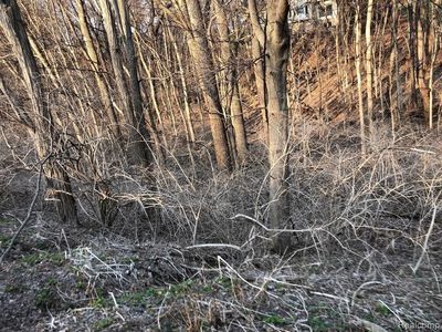 Culver Rd, Brighton, MI, 48114