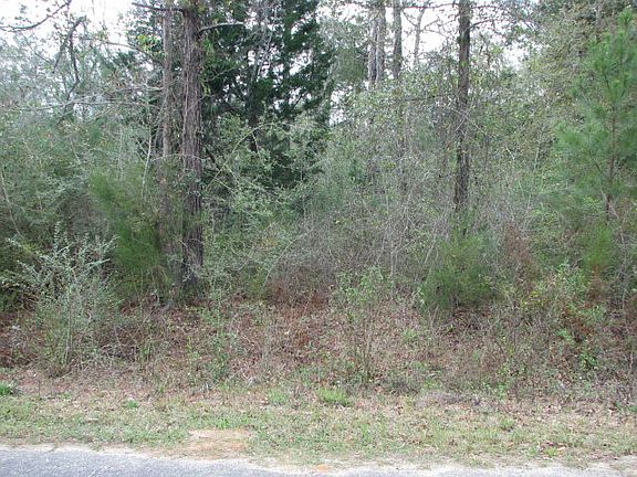 5th image of 3341 Valley Oaks Dr