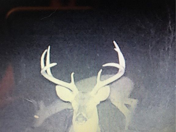 5th image of 6678 E Fm 979