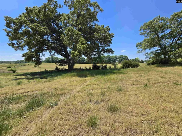 542 Pea Ridge Hwy, Jonesville, SC 29353
