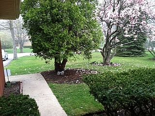 2nd image of 602 Old Elm Rd