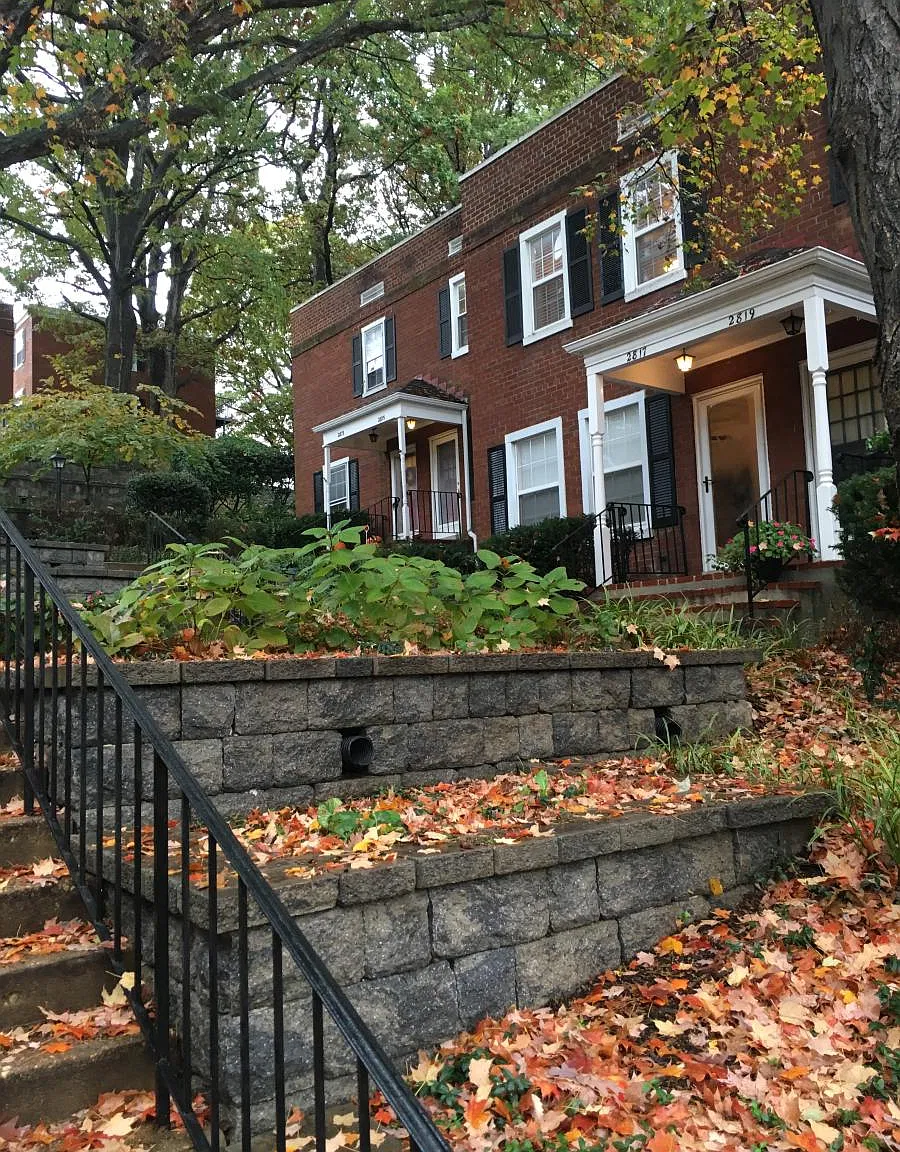 3 bed, 1383 sqft, $3,300 — Photo 2