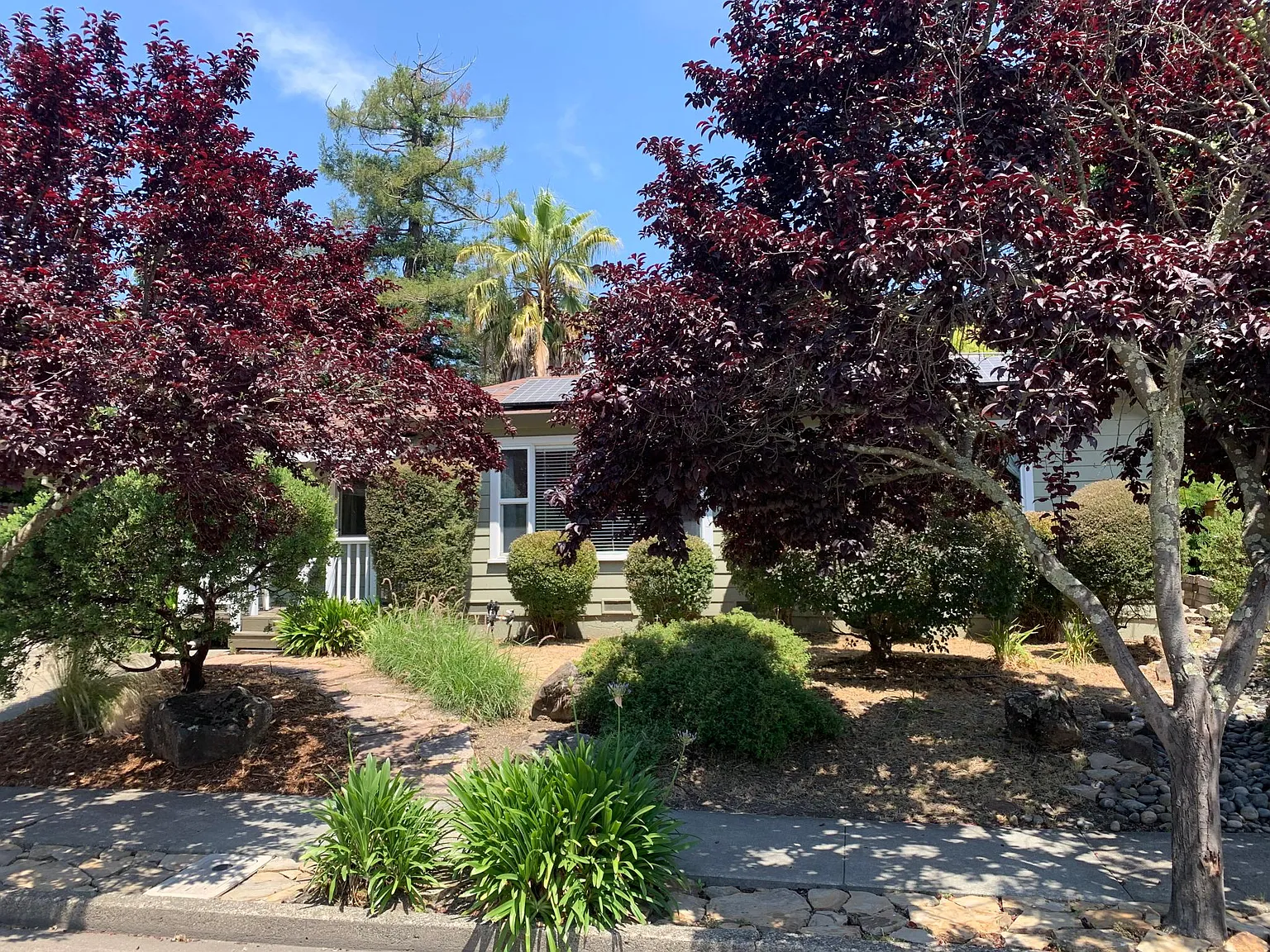 3081 Spring Creek Dr — Photo 1