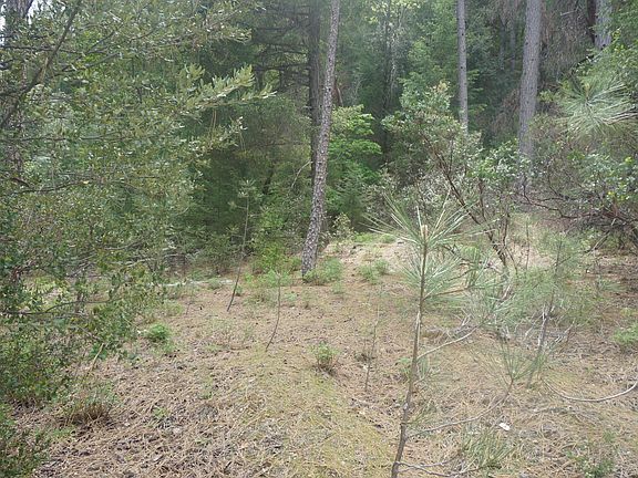 4th image of 6269 Dutch Creek Rd