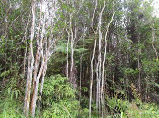 18-1998 Wainani St LOT 849, Volcano, HI 96785