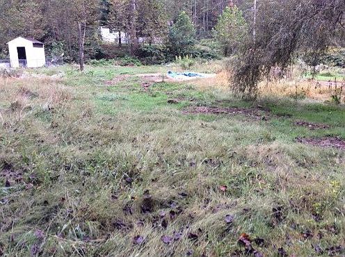 4th image of 1030 White Oak Creek Rd