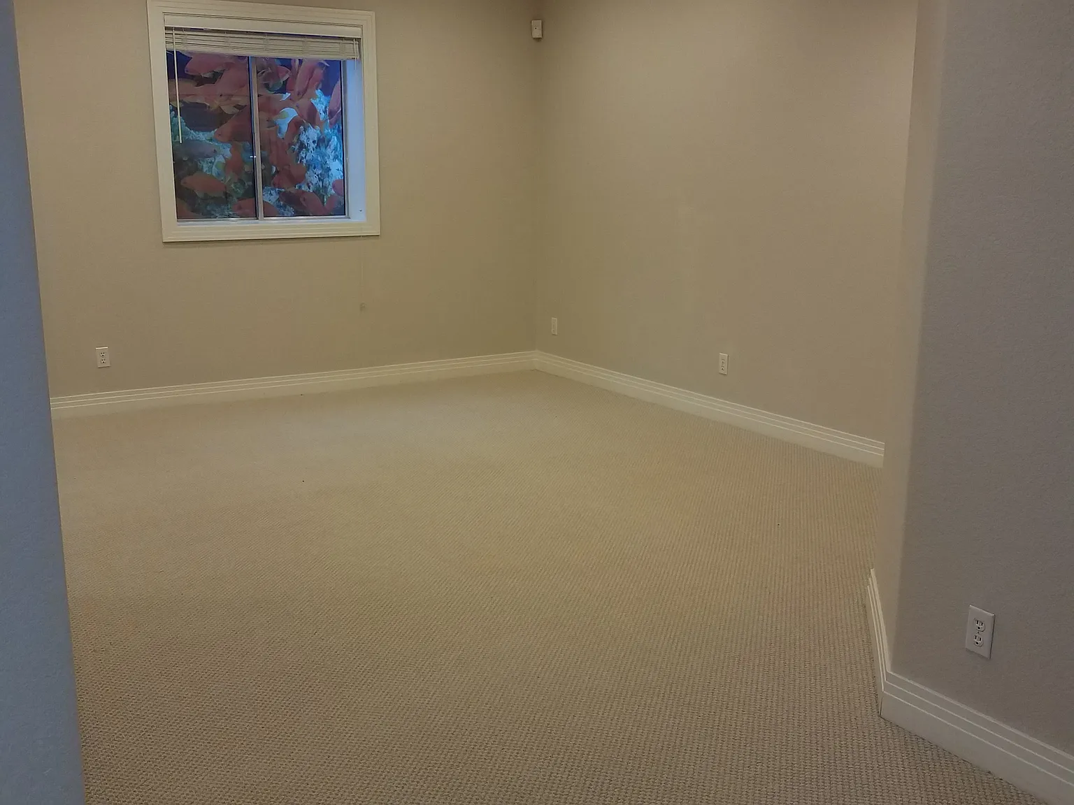 1 bed, 1800 sqft, $1,675 — Photo 3