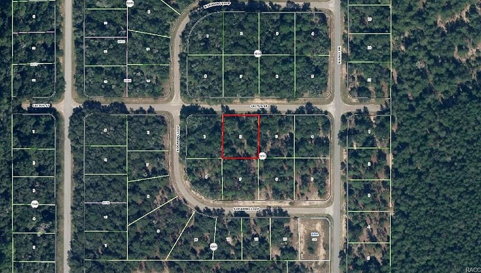 1st image of 1406 E Cactus Ln