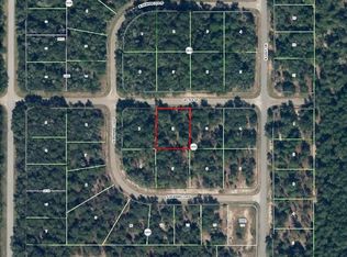 1406 E Cactus Ln, Citrus Springs, FL 34434