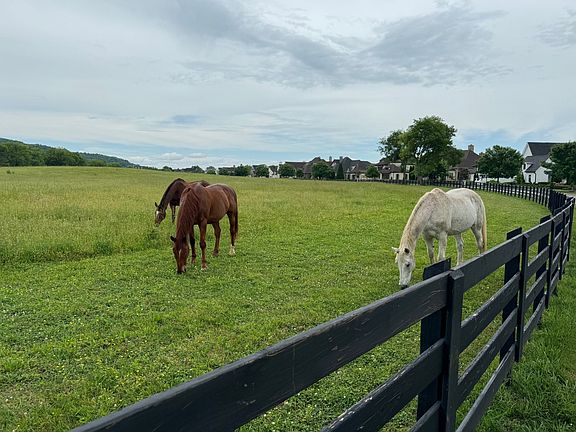 3rd image of 6017 Native Pony Trl
