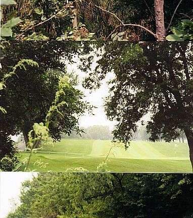 Private wooded property