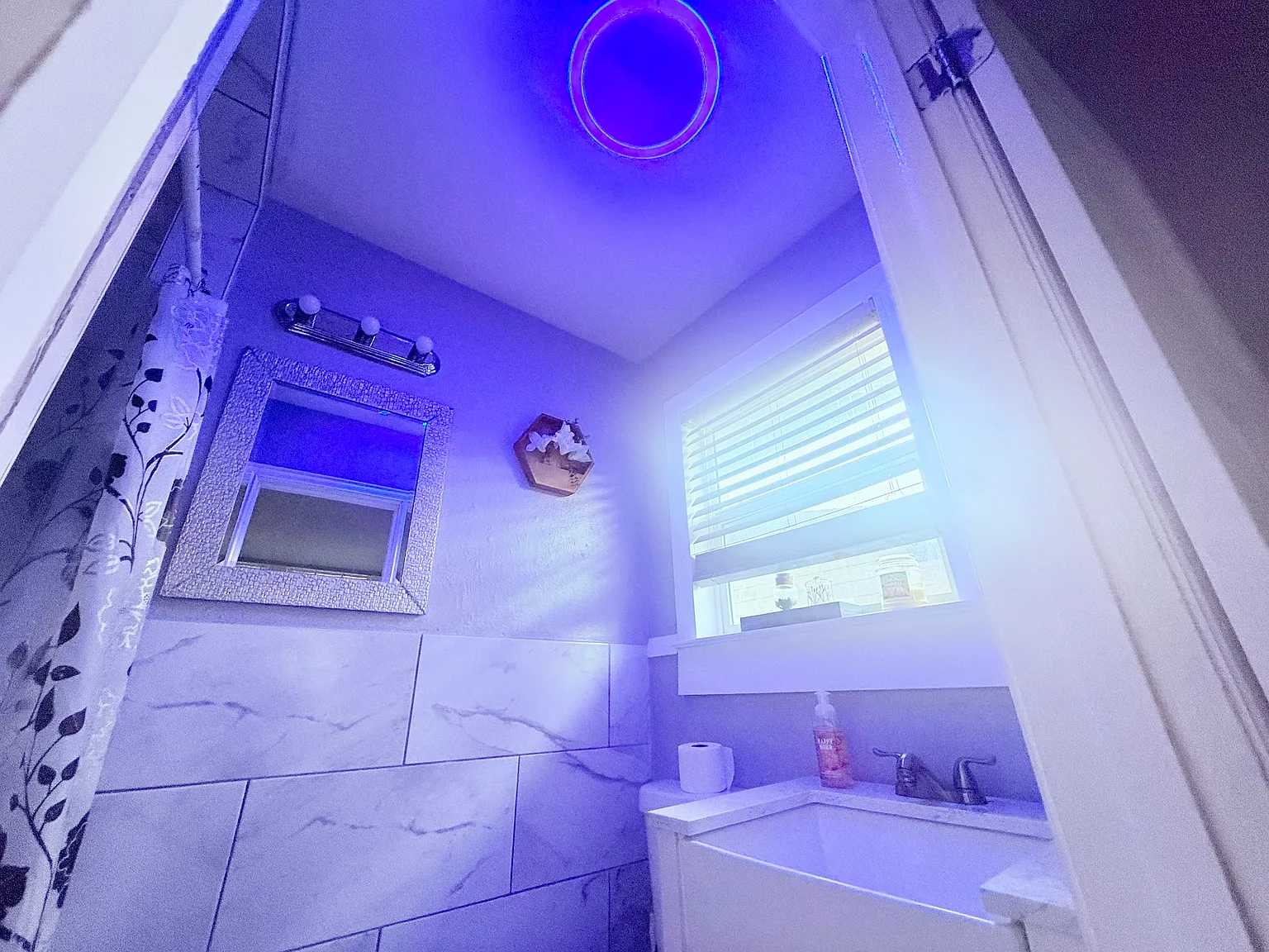 5 bed, $2,695 — Photo 4