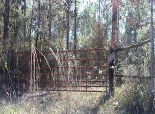 951 Little Buffalo Creek Rd, Nahunta, GA 31553