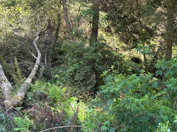 400 Tsunami Ln, Crescent City, CA 95531