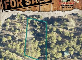 L2-B4 Teaberry Ave, Kenai, AK 99611