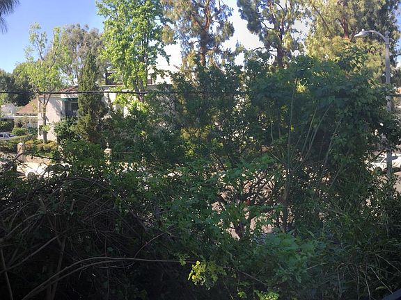 5th image of 18620 Hatteras St Unit 201