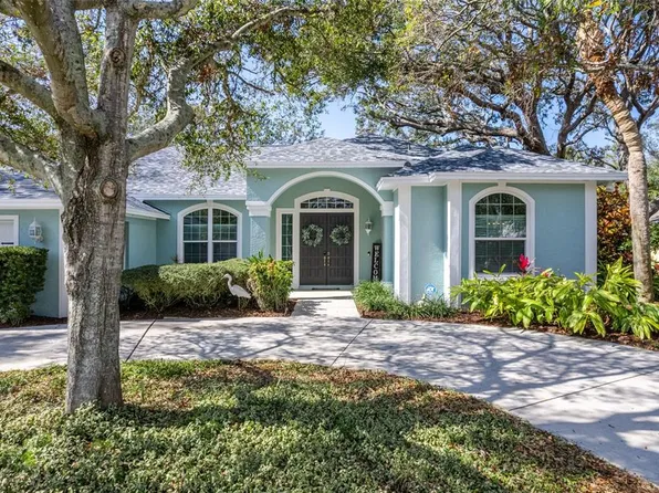 2886 Armadillo Dr, Palm Harbor, FL 34683