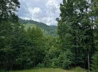 431 River Rdg, Tuckasegee, NC 28783