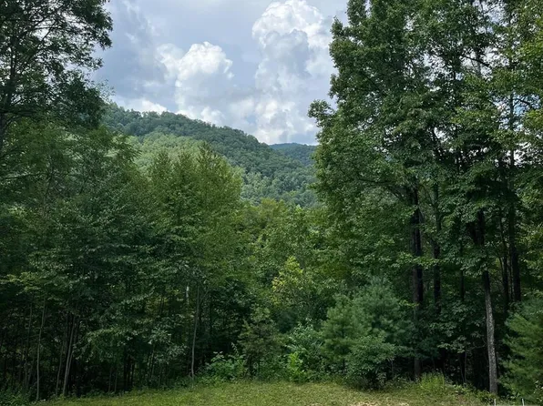 431 River Ridge, Tuckasegee, NC 28783