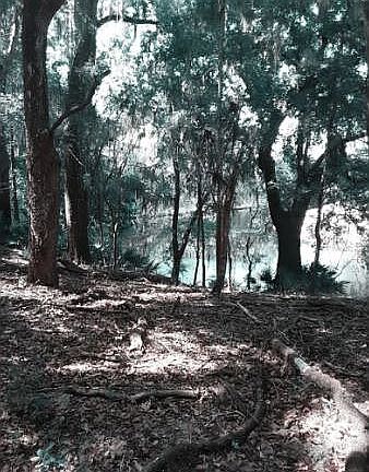 2nd image of 0 12th Ter