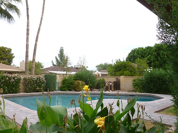 Lush backyard
