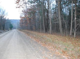 7631 Hotchkiss Rd, Prattsburgh, NY 14873