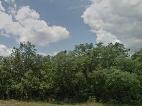 204 KINGFISH WAY LOT 16, POINCIANA, FL 34759