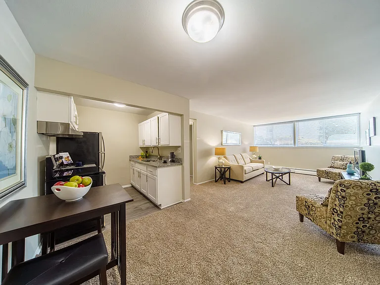 Kitchen and Living Area