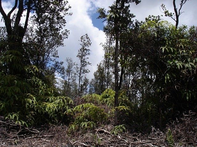 1st image of Road 6 Ooaa Lot 5122