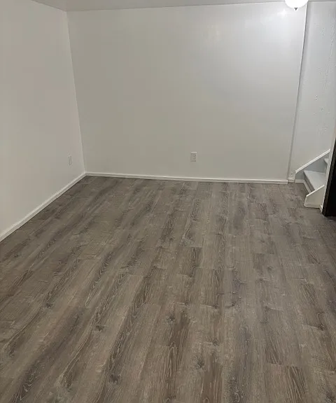 Downstairs Living / Recreation Room