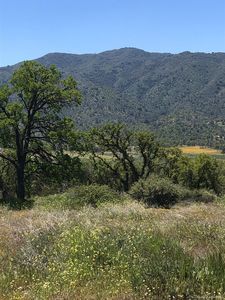 0 Walker Basin Rd, Caliente, CA, 93518