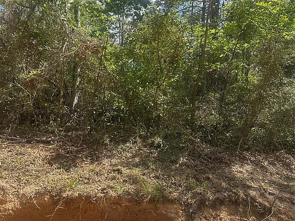 3rd image of 0 Patricia Dr