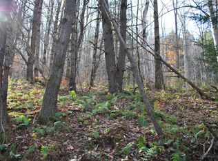 153 Chenango St, Binghamton, NY 13901