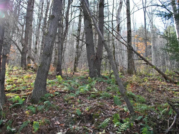 153 Chenango St, Binghamton, NY 13901