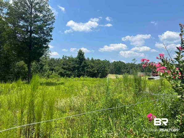 0 Beverly Jeffries Hwy Lot 700X464, Citronelle, AL 36522