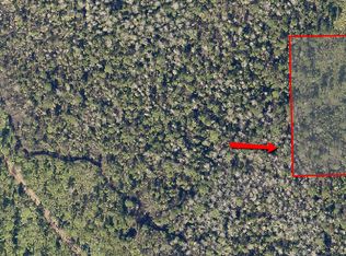 0 Lake Pearl Dr, Lake Helen, FL 32744