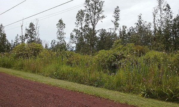 1st image of Plumeria Dr Lot 69
