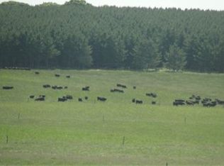 27480 358th St, Browerville, MN 56438