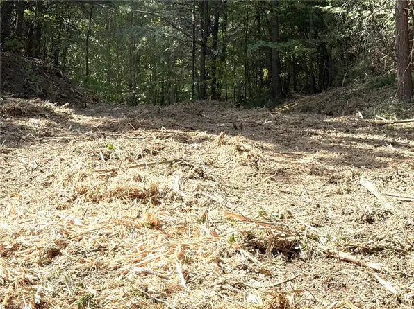 Ridge Run Rd, Boomer, NC 28606