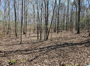 300 Oak Valley Dr #21, Ashville, AL 35953