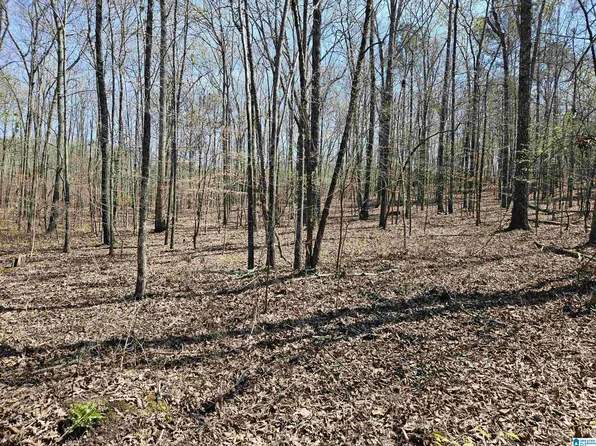 300 Oak Valley Dr #21, Ashville, AL 35953