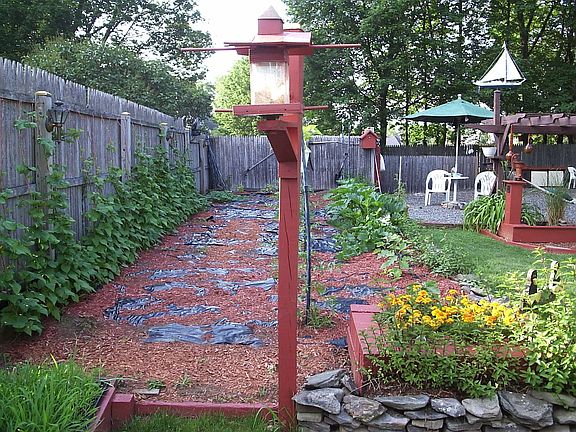 Veggie Garden
